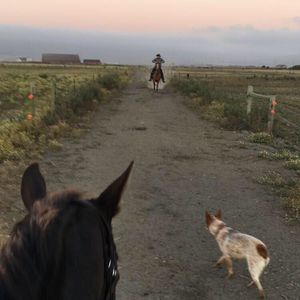 Meet your Posher, Ray